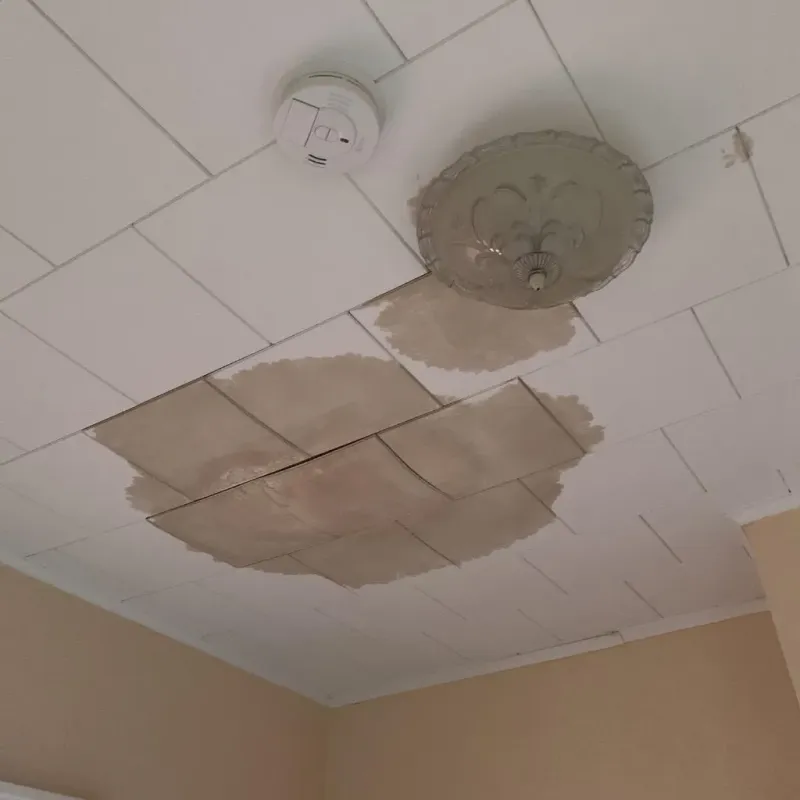 Ceiling Water Damage Repair in Ault Field, WA