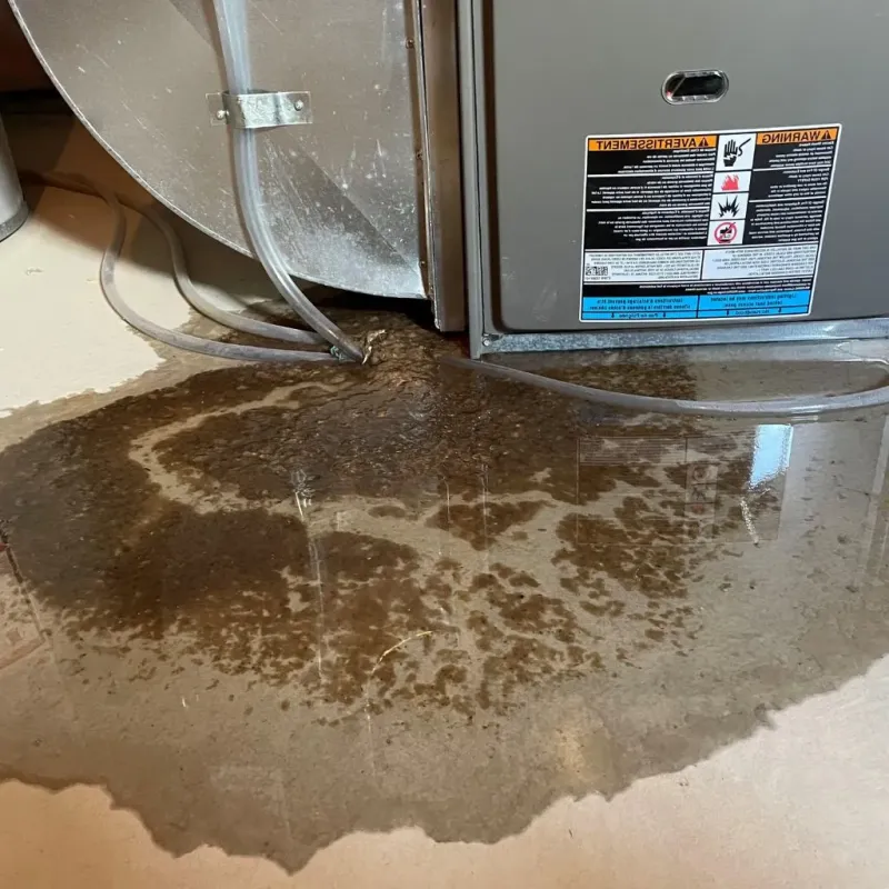 Pipe Burst and Leak Restoration in Ault Field, WA